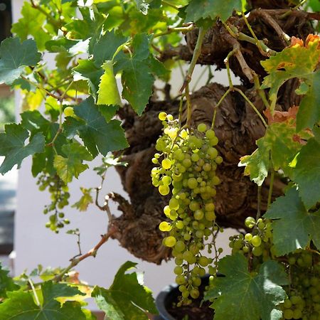 Xenia House Sorrento Hotel Стая снимка