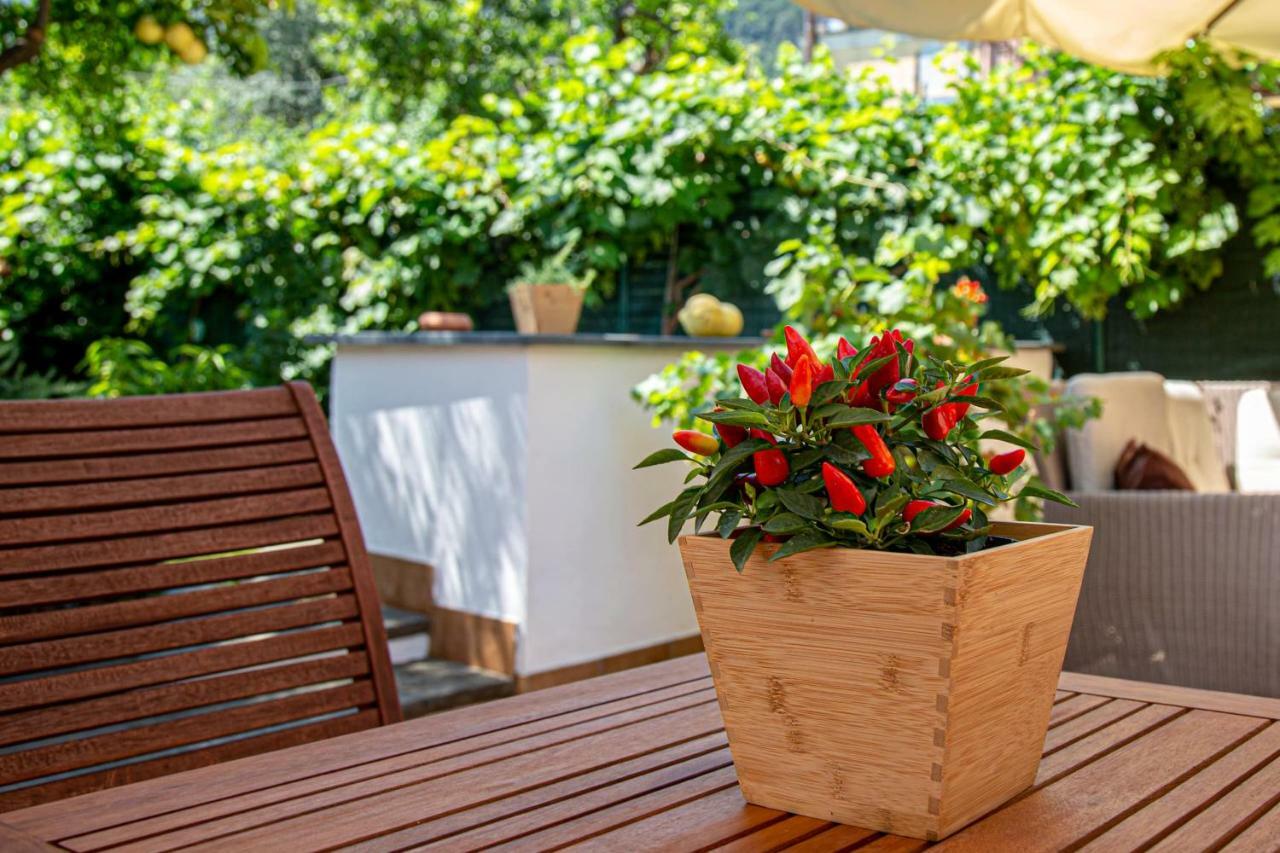 Xenia House Sorrento Hotel Екстериор снимка